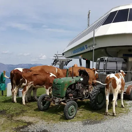 Christof,s Wild232 * Oberau