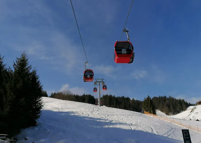 Christof,s Wild232 * Oberau