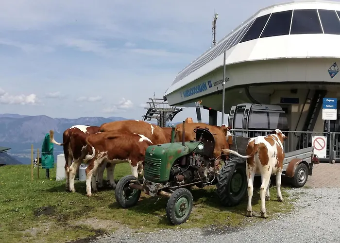 Christof,s Wild232 * Wildschoenau